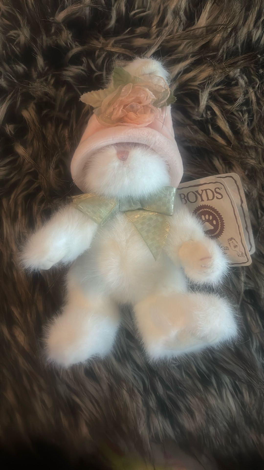 The Head Bean Collection Boyd 