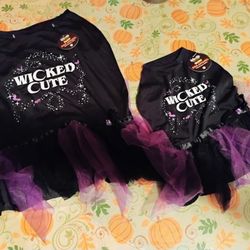 🎃Halloween Costumes for Fur babies 🐕🐈‍⬛