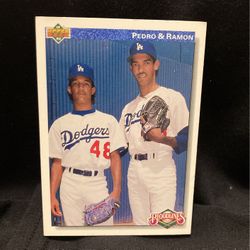 Pedro & Ramon Baseball Card