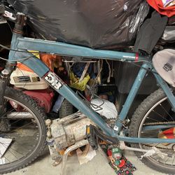 Mountain Bike