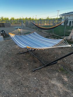 Hammock