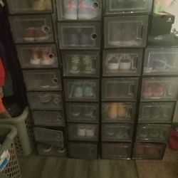 Organization and Storage