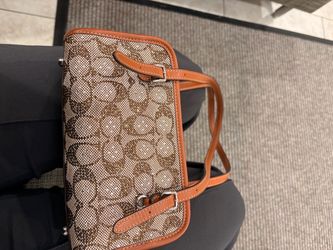 diamond Coach Bag