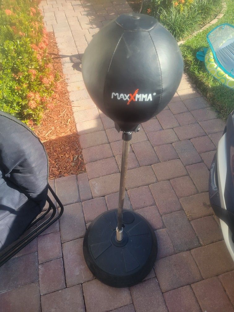 Stand Up Punching Bag