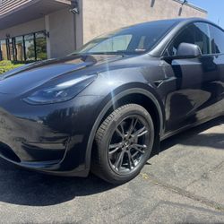 2025 Tesla Model Y