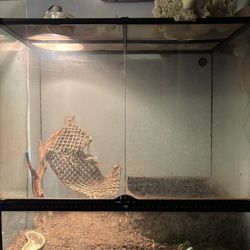 Reptile Cage 