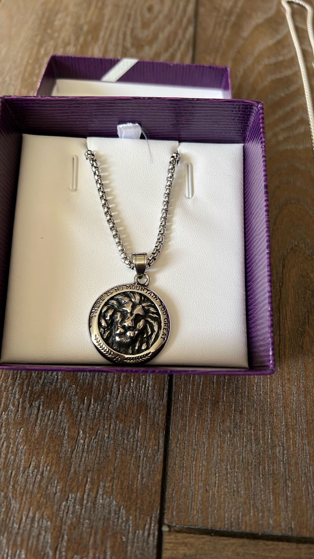 Silver Chain With Lion Medallion