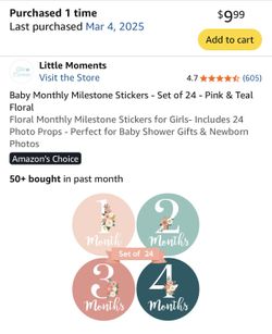 Baby Monthly Milestone Stickers