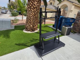 TV Stand on Wheels.