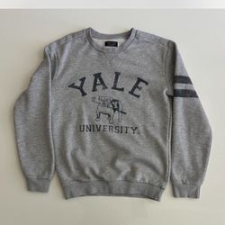 GREY ZARA CREWNECK SWEATSHIRT WITH STRIPED SLEEVES