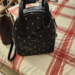 Purses 