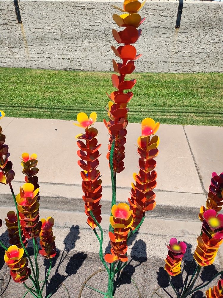 New Painted
Metal Plants "Ocotillo" Plants
☆Delivery Available☆