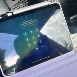 iPad 