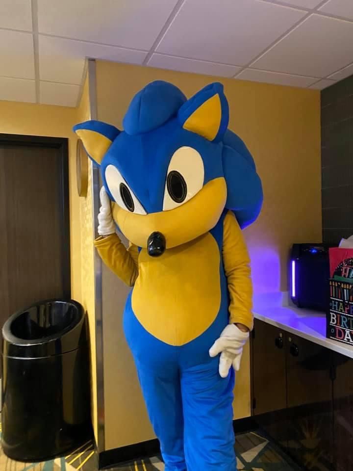 Sonic The Hedgehog Character Costume