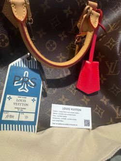 Louis Vuitton Speedy Soft 30 Crafty