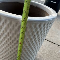 Flower Pots 