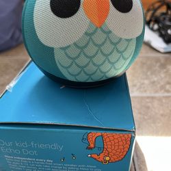 Alexa Echo dot
