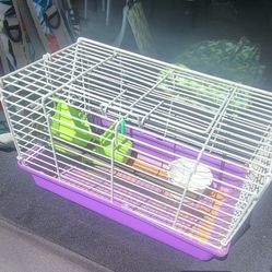 SMALL BIRD CAGE / Pet Carrier And Toys!!