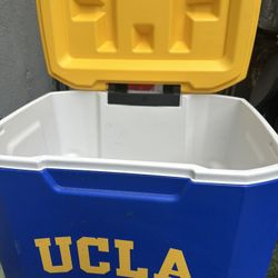 Cooler UCLA