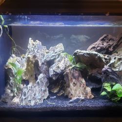 13 Gallon Fluval Evo Spec Fish Tank