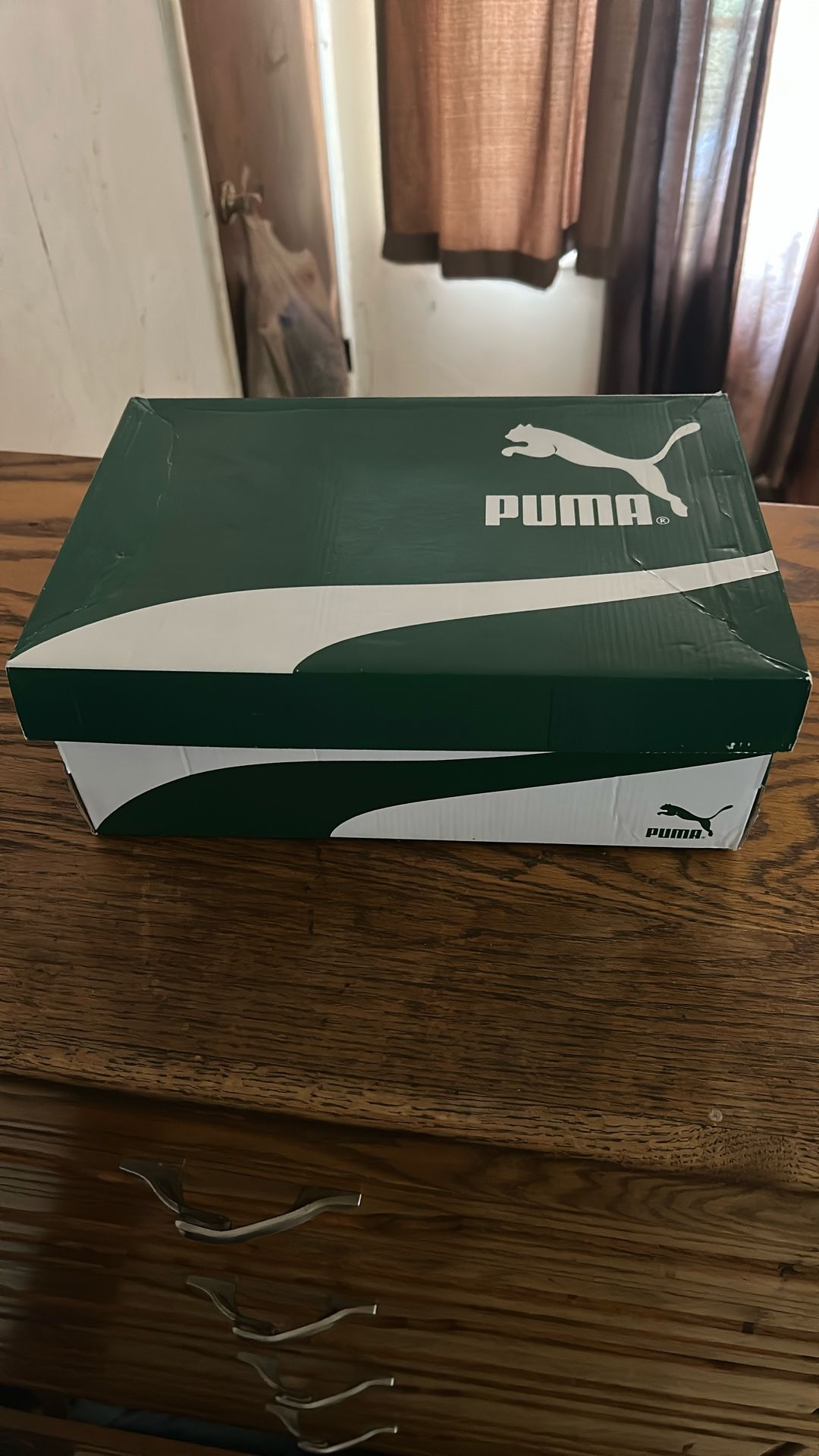Puma