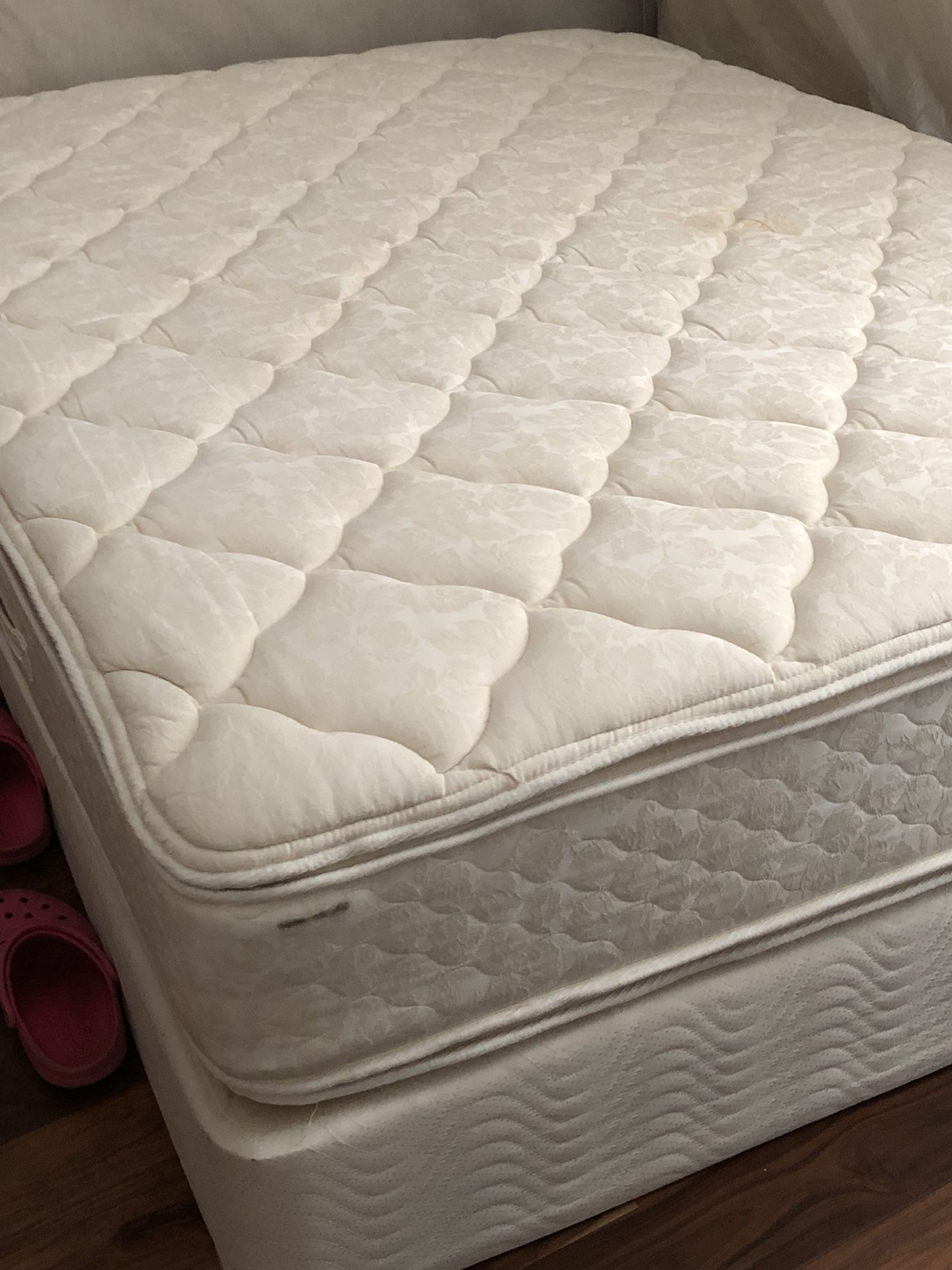 Sealy Queen Mattress & Box Spring 