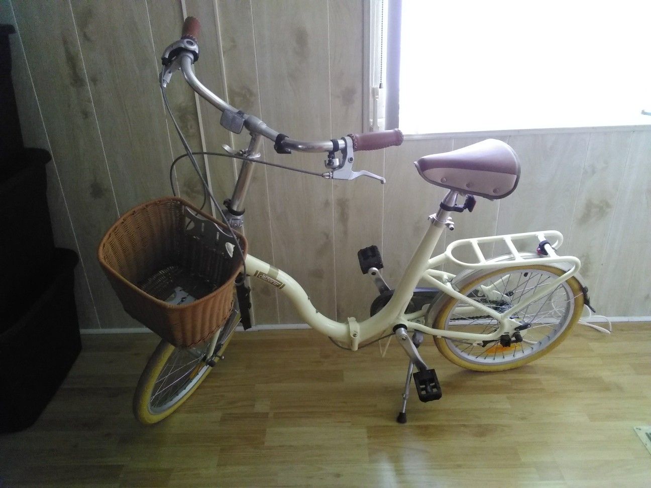European Folding Bike