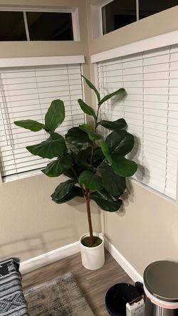 6 Feet Artificial Plant - Mint Condition