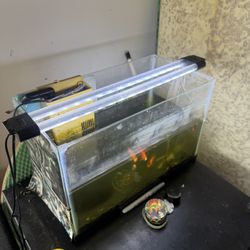 Two Fish Tanks 