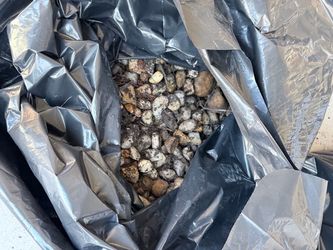 Flowerbed gravel