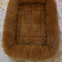 Small Pet Bed