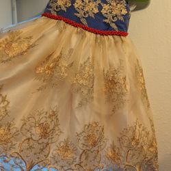 Beautiful Occasion Dress For Girls 