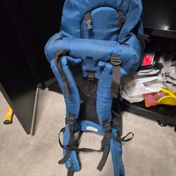 Evenflo trailtek hiking backpack for baby toddler