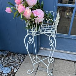 24H PLANT  STAND