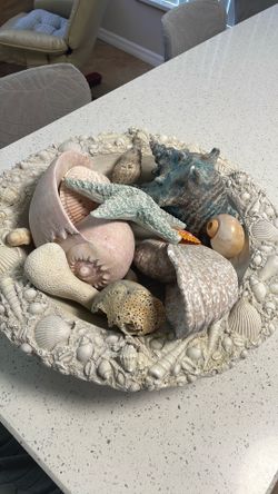 Large decorative bowl of shells