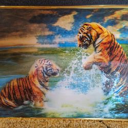 Tiger 3D framed photo