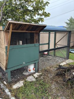 Chicken Coop