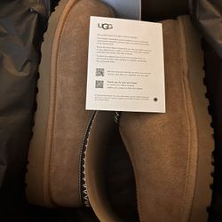 Ugg Tasman 