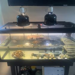 20 Gallon Turtle Tank + Water Heater+Filter + Basking Platform+light Dome