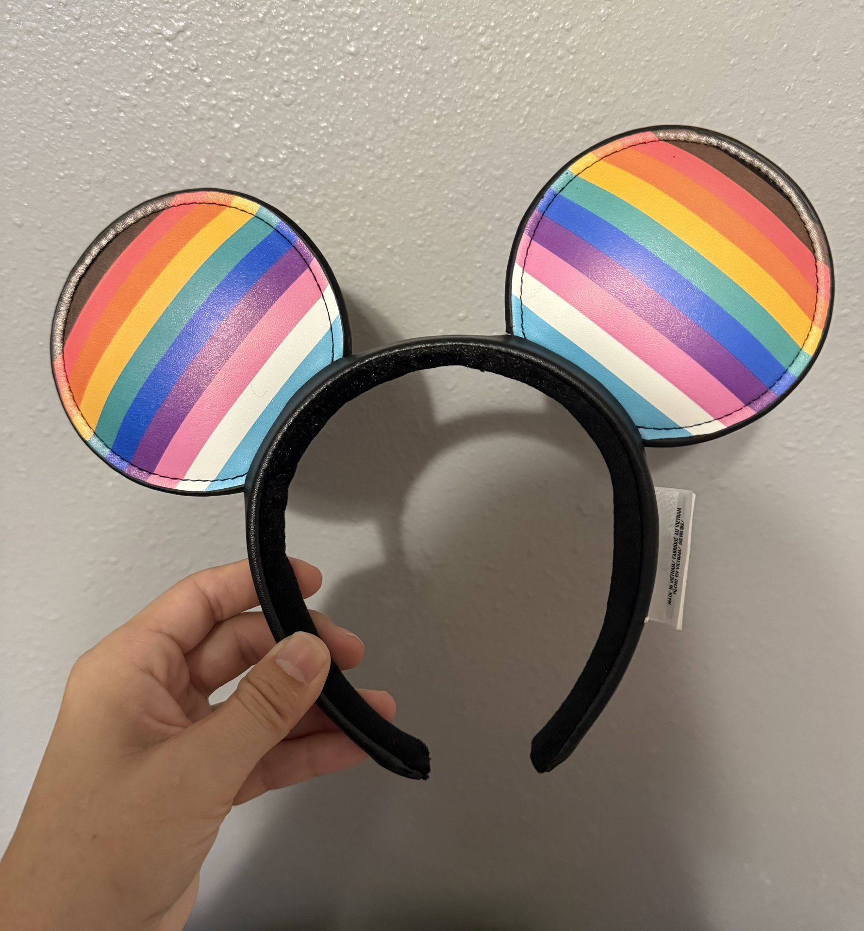 Pride Disney Park Ears