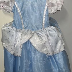 Cinderella Costume 