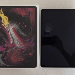 Apple iPad Pro 12.9 in Space Gray Wifi Only 256GB