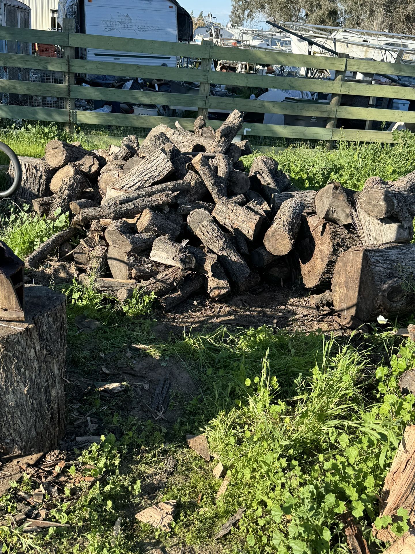 Firewood