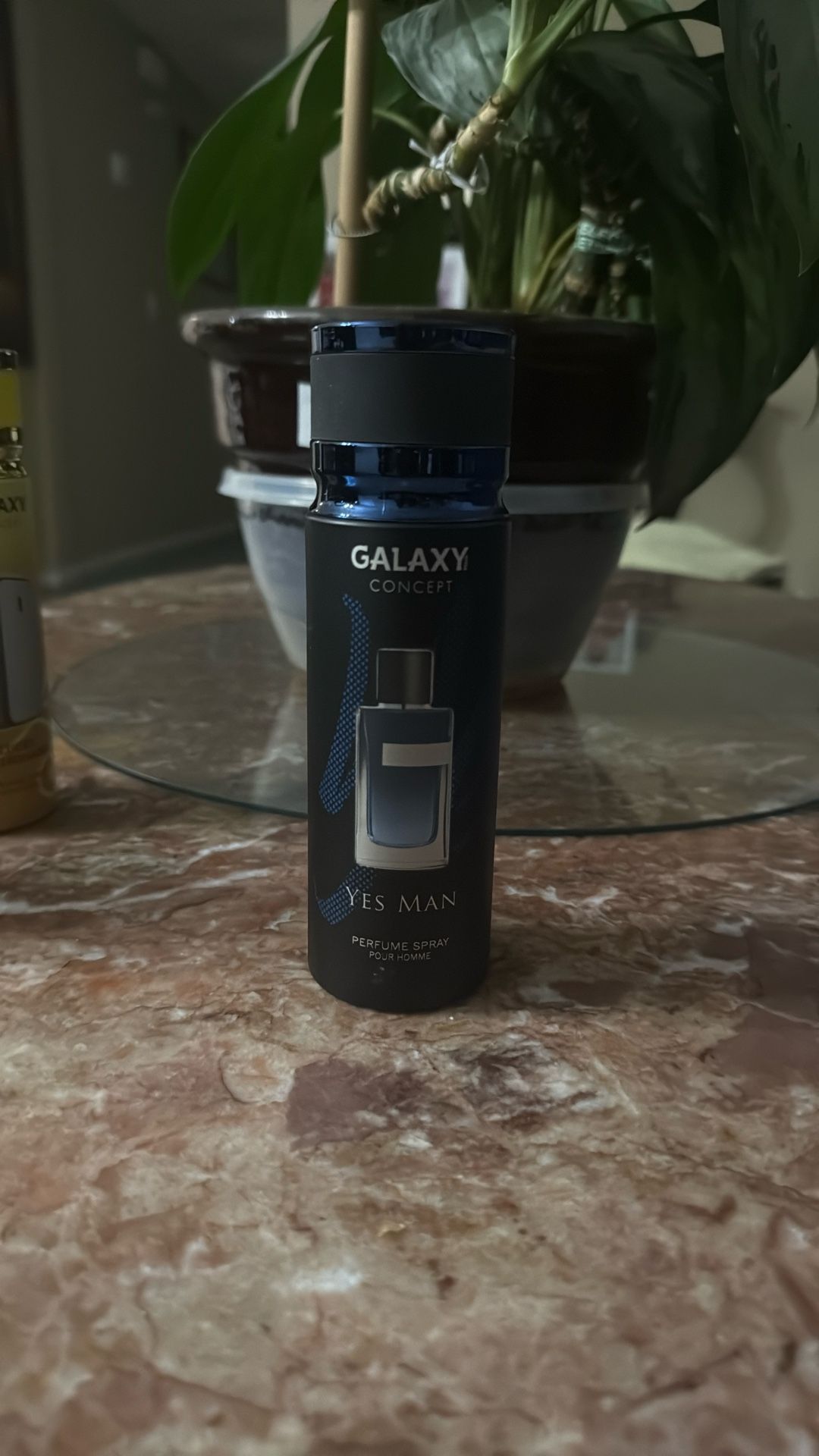 YSL Body Spray Inspiration For Man