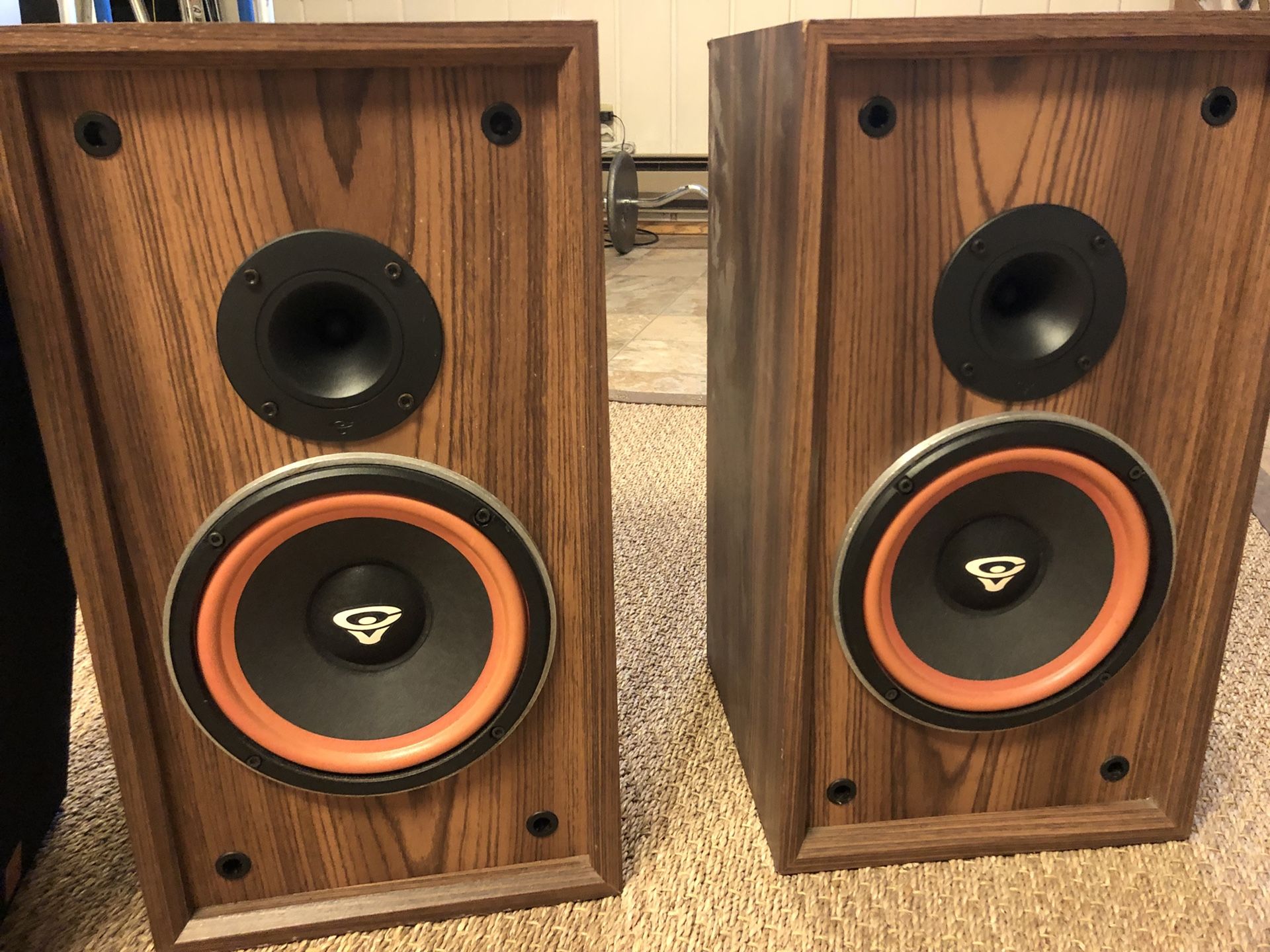 Cerwin Vega DX-1 Speakers