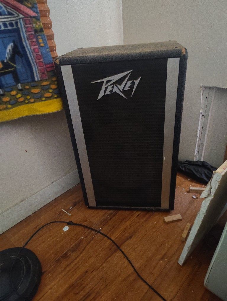 Peavey Speaker