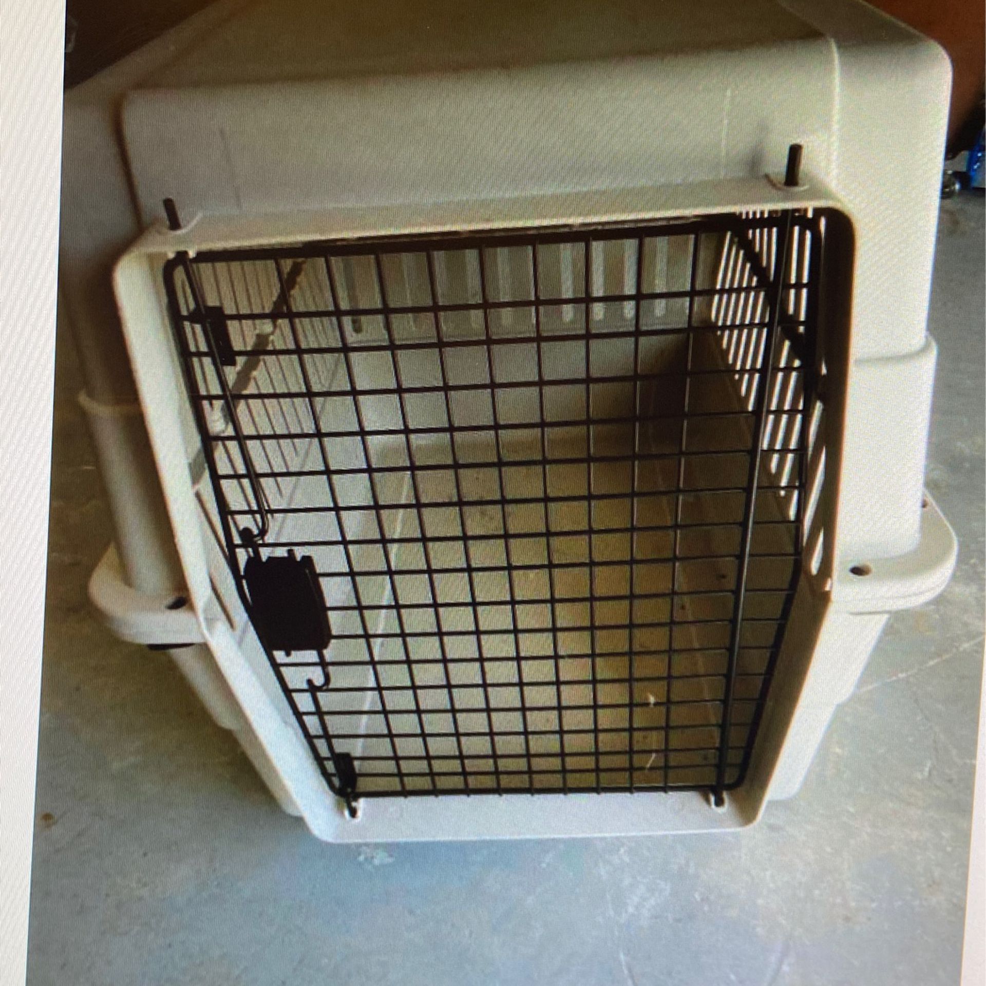 Travel crate for large dog, plastic