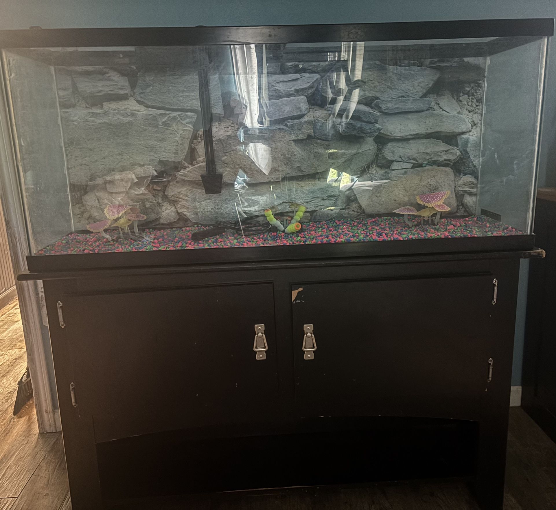 55 Gallon Aquarium And Stand 