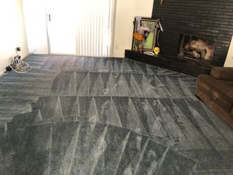 Carpet