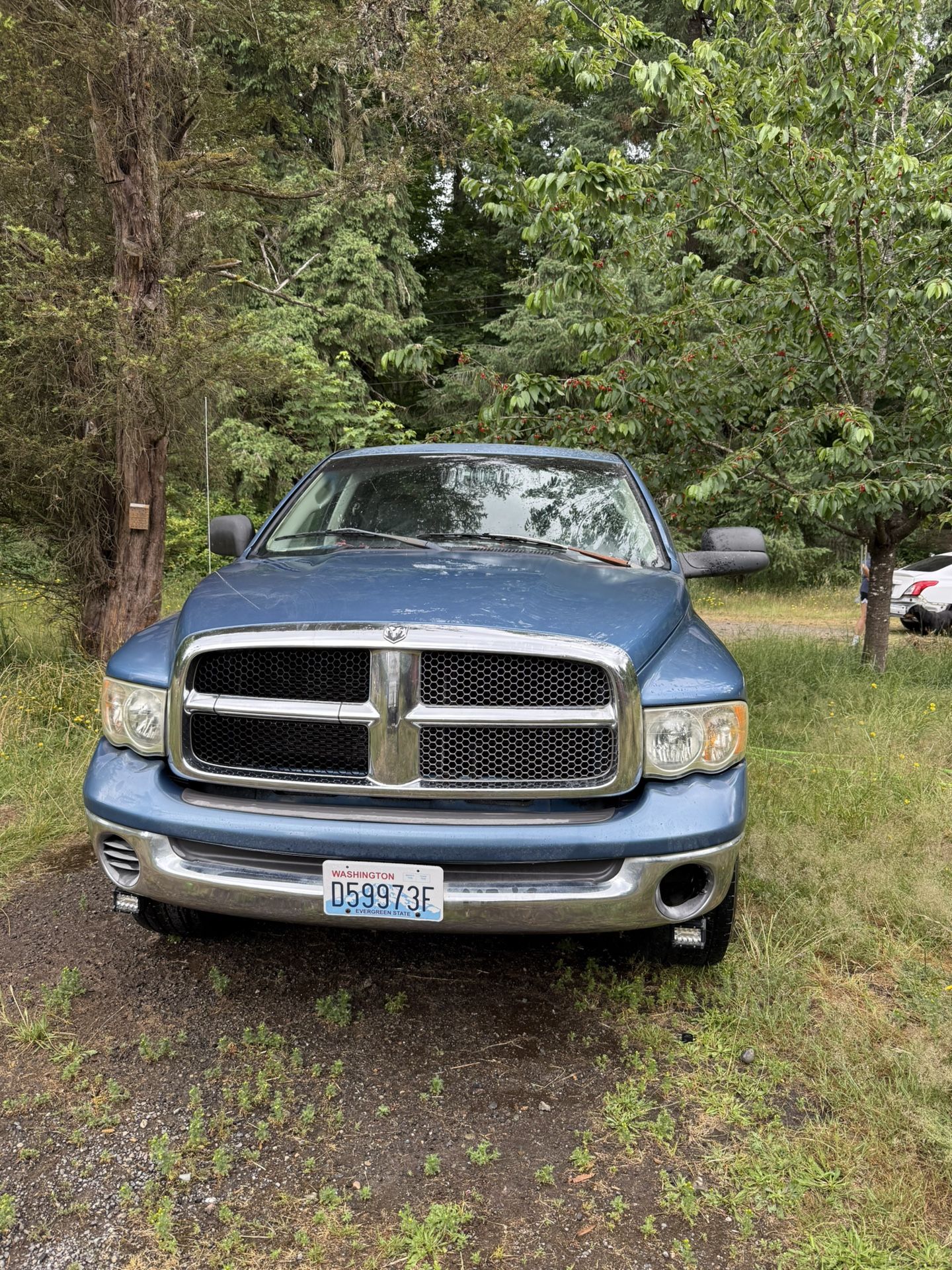 2002 Dodge Ram 1500